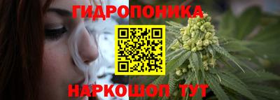 соль ск Партизанск
