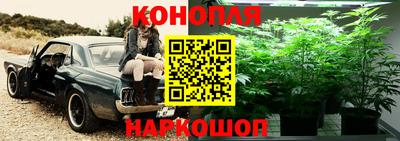 ГАЛЛЮЦИНОГЕННЫЕ ГРИБЫ Первоуральск