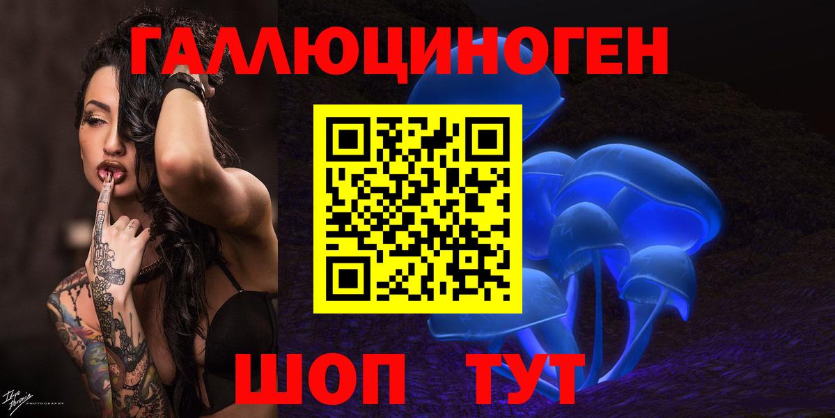 Северобайкальск  Псилоцибиновые грибы прущие грибы  Вход с VPN 