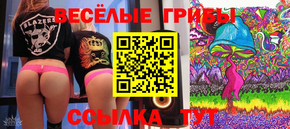 Псилоцибиновые грибы Cubensis Северобайкальск